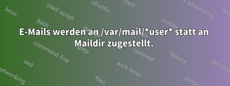 E-Mails werden an /var/mail/*user* statt an Maildir zugestellt.