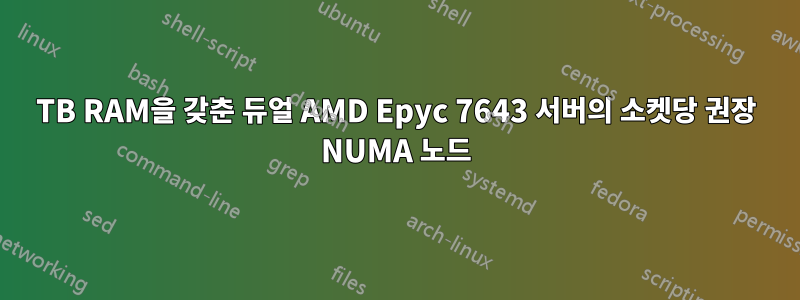 1TB RAM을 갖춘 듀얼 AMD Epyc 7643 서버의 소켓당 권장 NUMA 노드