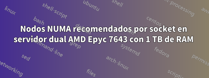 Nodos NUMA recomendados por socket en servidor dual AMD Epyc 7643 con 1 TB de RAM