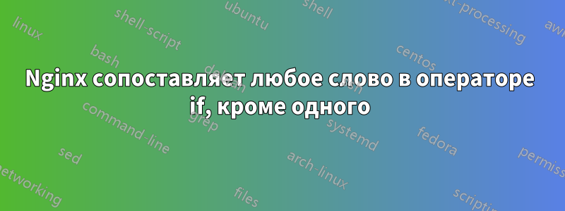 Nginx сопоставляет любое слово в операторе if, кроме одного