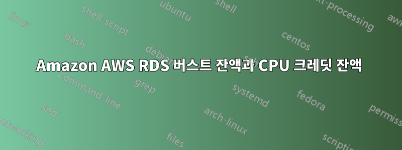 Amazon AWS RDS 버스트 잔액과 CPU 크레딧 잔액