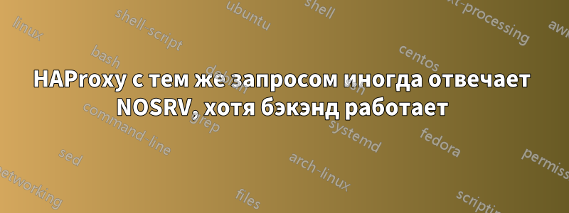 HAProxy с тем же запросом иногда отвечает NOSRV, хотя бэкэнд работает