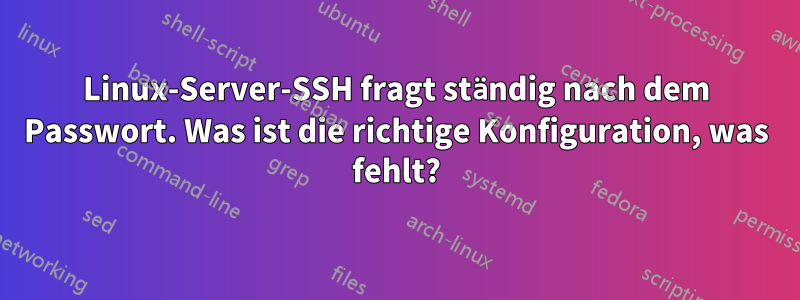 Linux-Server-SSH fragt ständig nach dem Passwort. Was ist die richtige Konfiguration, was fehlt?