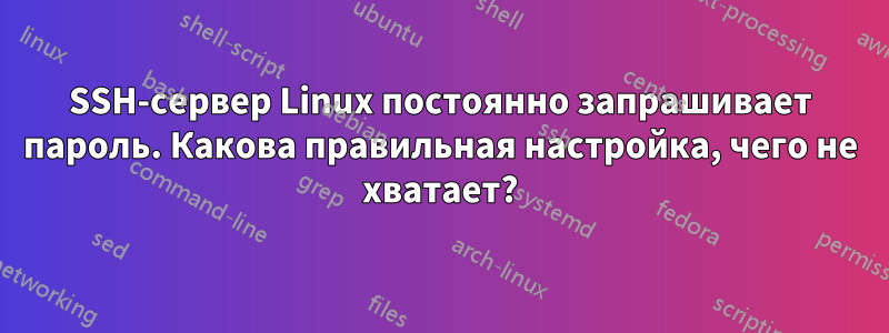 SSH-сервер Linux постоянно запрашивает пароль. Какова правильная настройка, чего не хватает?