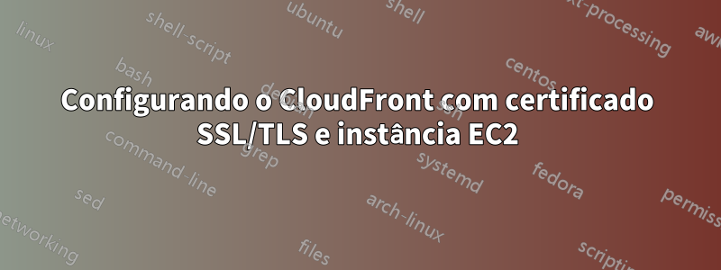 Configurando o CloudFront com certificado SSL/TLS e instância EC2