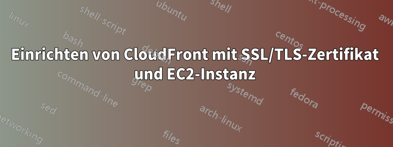 Einrichten von CloudFront mit SSL/TLS-Zertifikat und EC2-Instanz