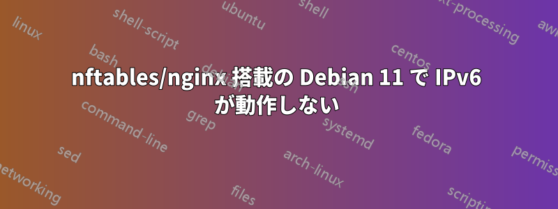 nftables/nginx 搭載の Debian 11 で IPv6 が動作しない