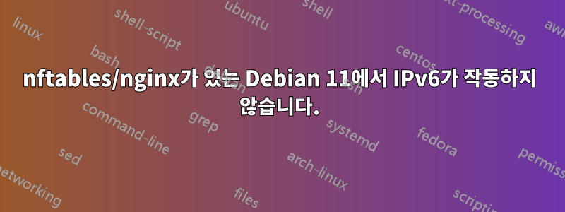 nftables/nginx가 있는 Debian 11에서 IPv6가 작동하지 않습니다.