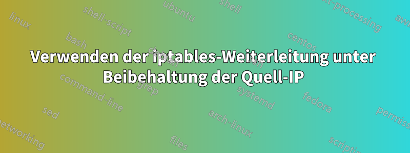 Verwenden der iptables-Weiterleitung unter Beibehaltung der Quell-IP