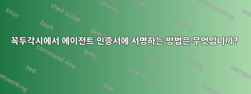 꼭두각시에서 에이전트 인증서에 서명하는 방법은 무엇입니까?