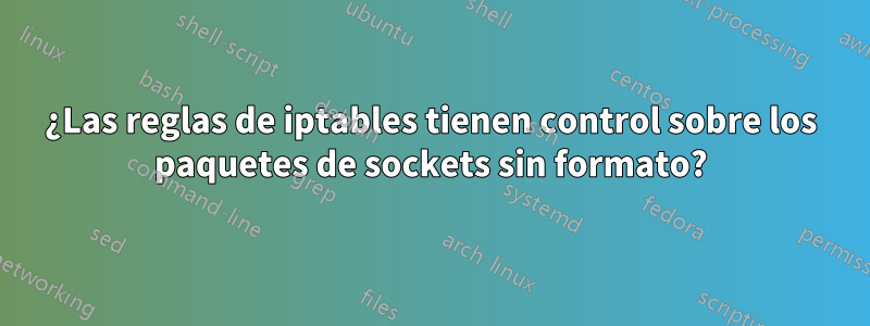 ¿Las reglas de iptables tienen control sobre los paquetes de sockets sin formato?