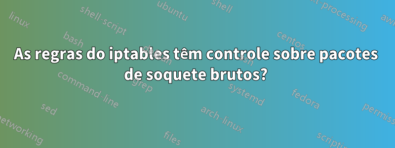 As regras do iptables têm controle sobre pacotes de soquete brutos?