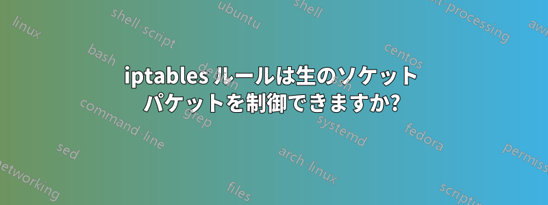 iptables ルールは生のソケット パケットを制御できますか?