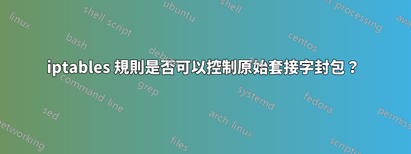 iptables 規則是否可以控制原始套接字封包？