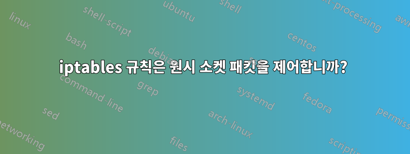 iptables 규칙은 원시 소켓 패킷을 제어합니까?