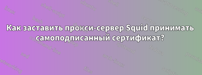 Как заставить прокси-сервер Squid принимать самоподписанный сертификат?