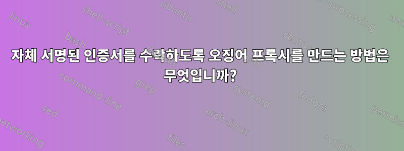 자체 서명된 인증서를 수락하도록 오징어 프록시를 만드는 방법은 무엇입니까?