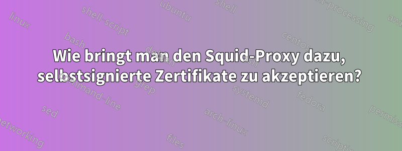 Wie bringt man den Squid-Proxy dazu, selbstsignierte Zertifikate zu akzeptieren?