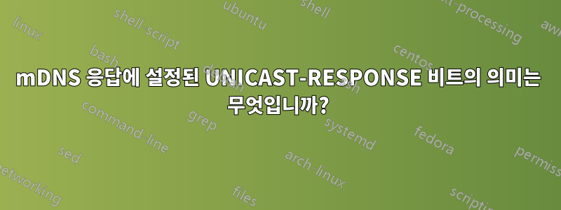 mDNS 응답에 설정된 UNICAST-RESPONSE 비트의 의미는 무엇입니까?