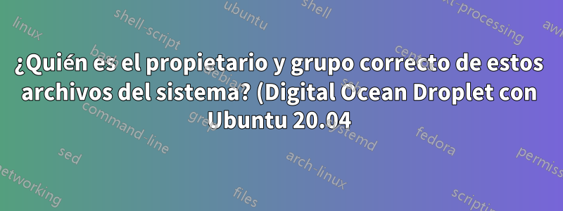 ¿Quién es el propietario y grupo correcto de estos archivos del sistema? (Digital Ocean Droplet con Ubuntu 20.04)