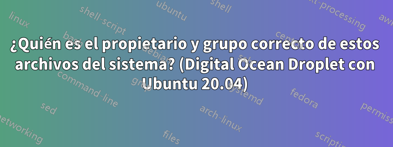 ¿Quién es el propietario y grupo correcto de estos archivos del sistema? (Digital Ocean Droplet con Ubuntu 20.04)