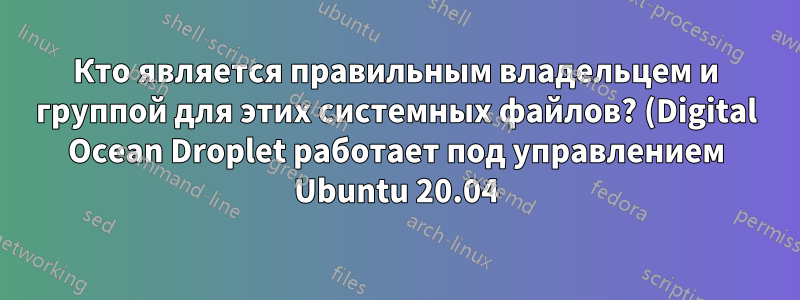 Кто является правильным владельцем и группой для этих системных файлов? (Digital Ocean Droplet работает под управлением Ubuntu 20.04)
