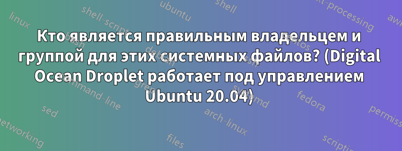 Кто является правильным владельцем и группой для этих системных файлов? (Digital Ocean Droplet работает под управлением Ubuntu 20.04)