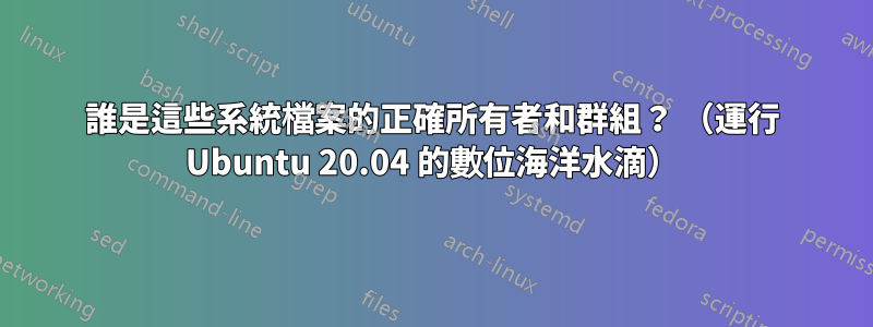 誰是這些系統檔案的正確所有者和群組？ （運行 Ubuntu 20.04 的數位海洋水滴）