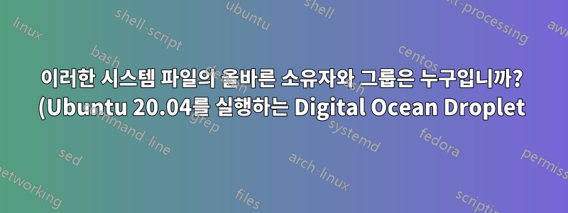 이러한 시스템 파일의 올바른 소유자와 그룹은 누구입니까? (Ubuntu 20.04를 실행하는 Digital Ocean Droplet)