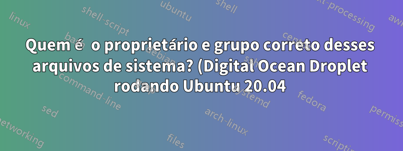 Quem é o proprietário e grupo correto desses arquivos de sistema? (Digital Ocean Droplet rodando Ubuntu 20.04)