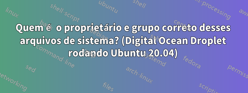 Quem é o proprietário e grupo correto desses arquivos de sistema? (Digital Ocean Droplet rodando Ubuntu 20.04)