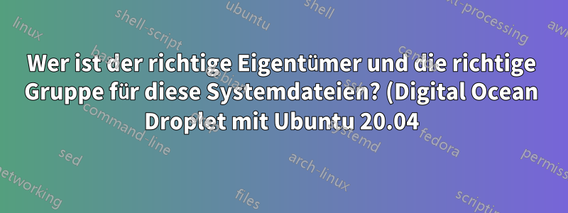 Wer ist der richtige Eigentümer und die richtige Gruppe für diese Systemdateien? (Digital Ocean Droplet mit Ubuntu 20.04)