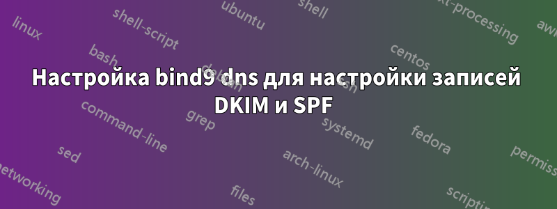 Настройка bind9 dns для настройки записей DKIM и SPF 