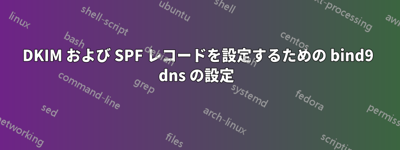 DKIM および SPF レコードを設定するための bind9 dns の設定 