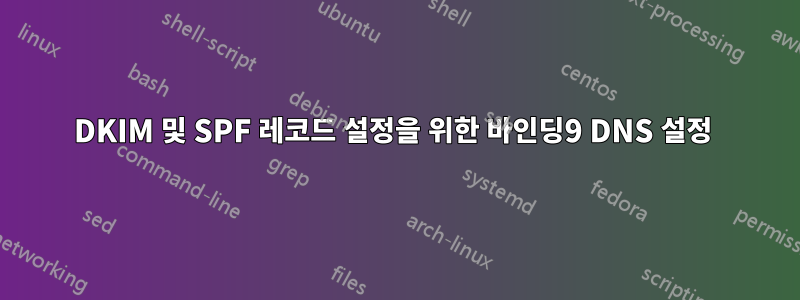 DKIM 및 SPF 레코드 설정을 위한 바인딩9 DNS 설정 