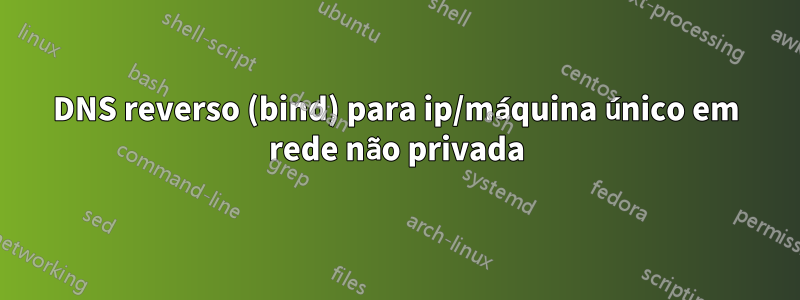 DNS reverso (bind) para ip/máquina único em rede não privada