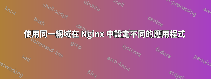 使用同一網域在 Nginx 中設定不同的應用程式