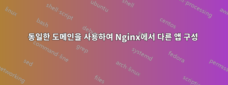 동일한 도메인을 사용하여 Nginx에서 다른 앱 구성