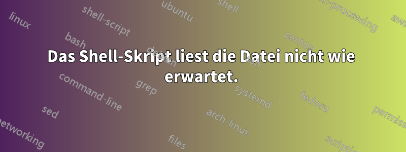 Das Shell-Skript liest die Datei nicht wie erwartet.