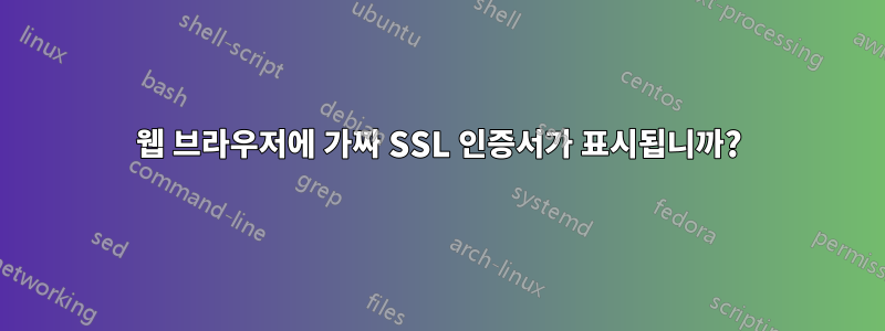 웹 브라우저에 가짜 SSL 인증서가 표시됩니까?