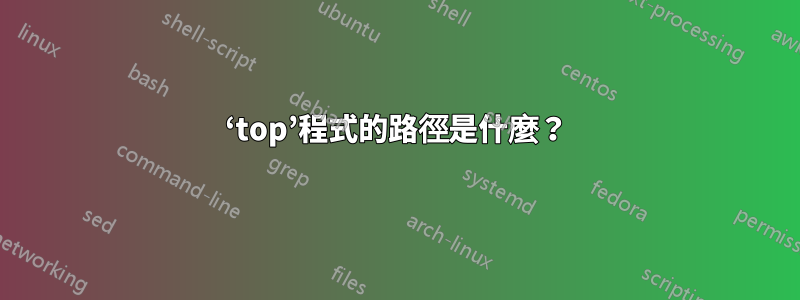 ‘top’程式的路徑是什麼？