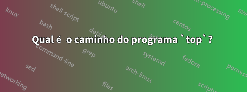 Qual é o caminho do programa `top`?