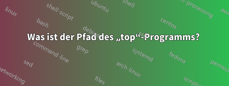 Was ist der Pfad des „top“-Programms?