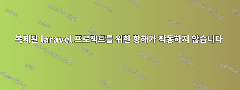 복제된 laravel 프로젝트를 위한 항해가 작동하지 않습니다