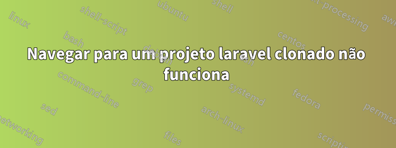 Navegar para um projeto laravel clonado não funciona