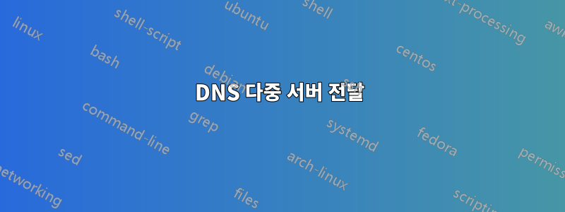 DNS 다중 서버 전달