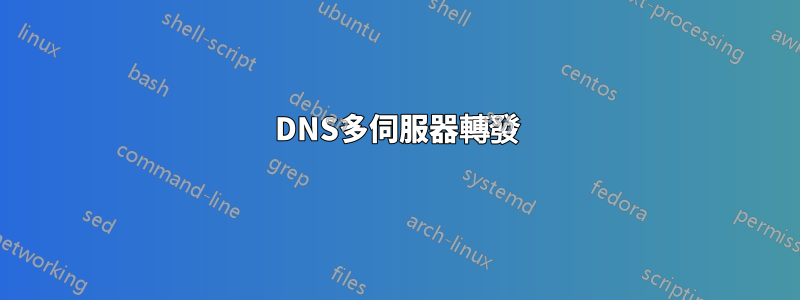 DNS多伺服器轉發