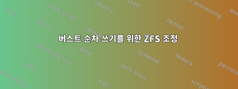 버스트 순차 쓰기를 위한 ZFS 조정