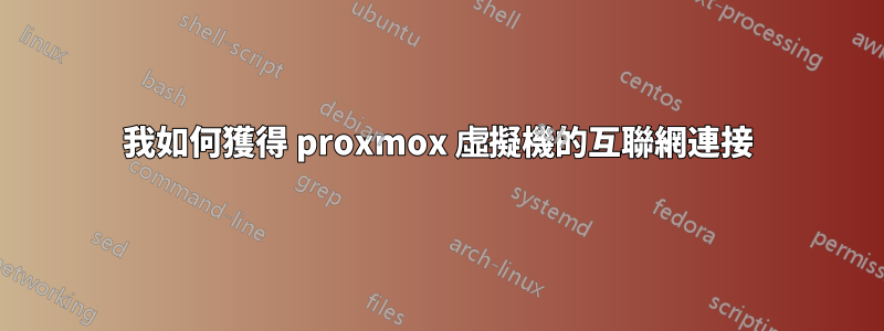 我如何獲得 proxmox 虛擬機的互聯網連接