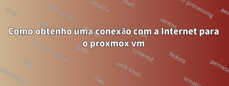 Como obtenho uma conexão com a Internet para o proxmox vm